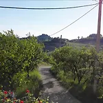 Dal Rosso