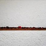 Dal Rosso 4*