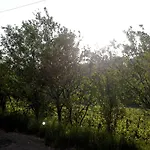 Guest house Dal Rosso San Floriano del Collio