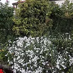 Dal Rosso Guest house