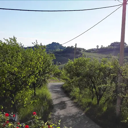 达罗索旅馆