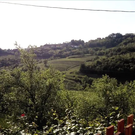 达罗索旅馆 招待所