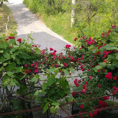 Dal Rosso 4* San Floriano del Cóllio