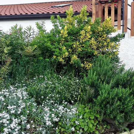 Dal Rosso ゲストハウス San Floriano del Cóllio