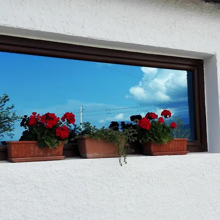 Affittacamere Dal Rosso 4*