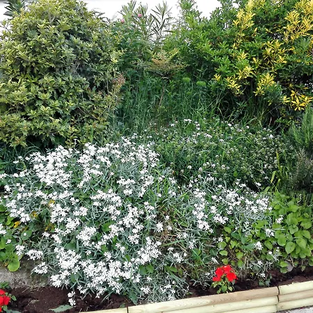 Dal Rosso ゲストハウス San Floriano del Cóllio