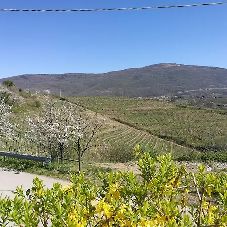 Guest house Dal Rosso 3*