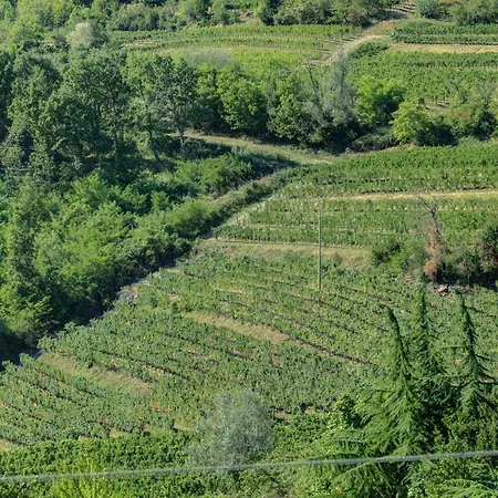 Dal Rosso San Floriano del Cóllio