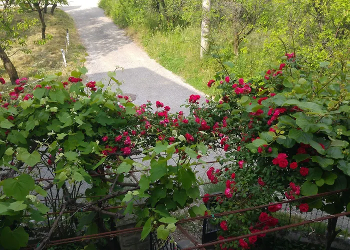 Dal Rosso 4* San Floriano del Cóllio