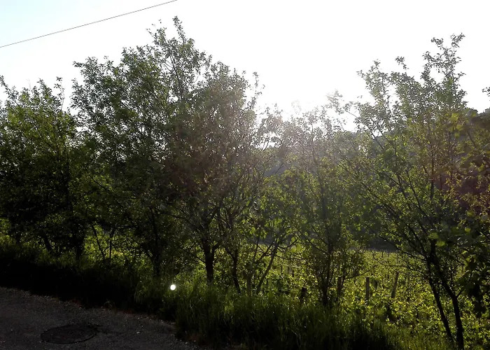 ゲストハウス Dal Rosso San Floriano del Cóllio