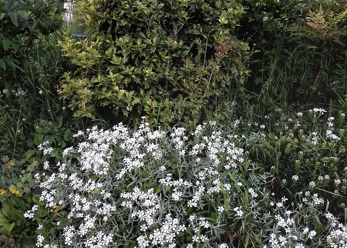 Dal Rosso ゲストハウス