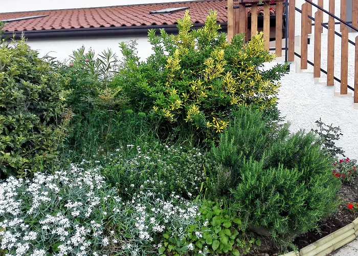 Dal Rosso ゲストハウス San Floriano del Cóllio