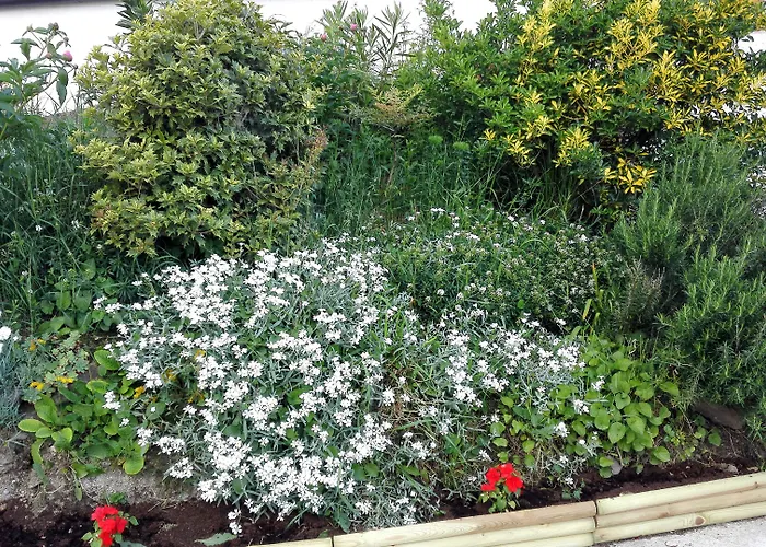 Dal Rosso ゲストハウス San Floriano del Cóllio