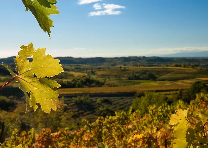 Dal Rosso ゲストハウス 4*