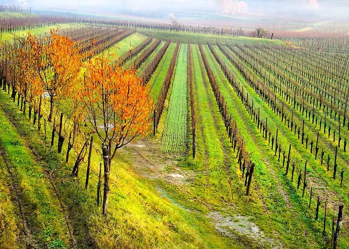 Dal Rosso ゲストハウス 4*