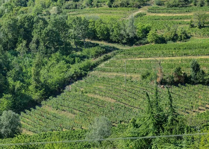 Dal Rosso San Floriano del Cóllio